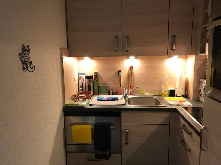 Beautiful 2.5 Room Apartment In Lucerne Bagian luar foto